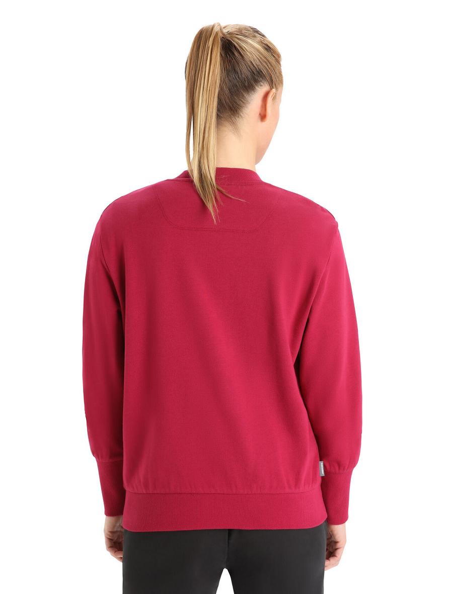 Sweats Icebreaker Merino Central II Long Sleeve Femme Rose | FR 1618PJJQ